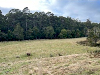 River Frontage lifestyle Farm