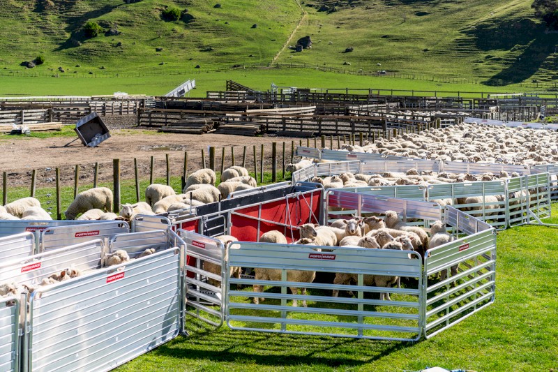 NZ made portayards set for 1000 head. lightweight alloy yards