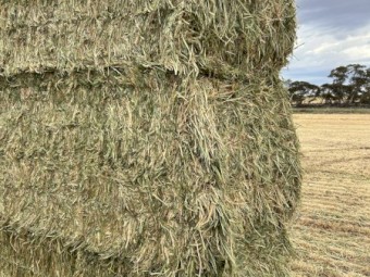 90mt Barley Hay 670kg 8x4x3 Bales