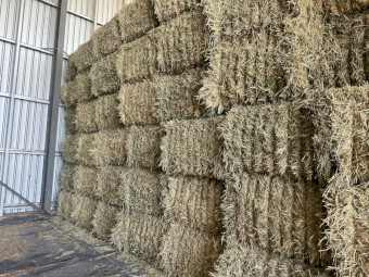 380mt Wheaten Hay 8x4x3 Bales