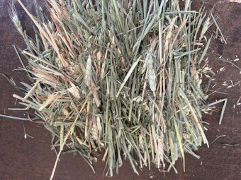380mt Wheaten Hay 8x4x3 Bales