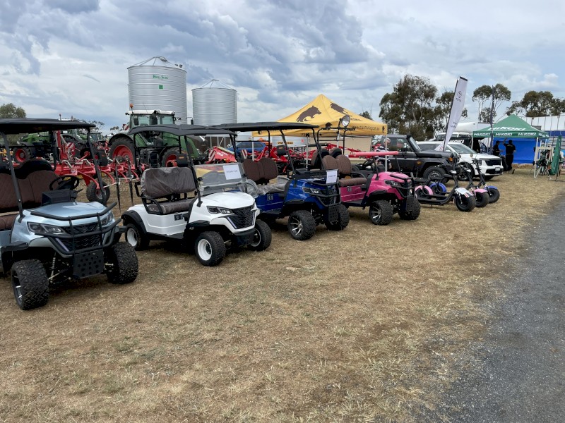 Off Road Buggy - Electric 