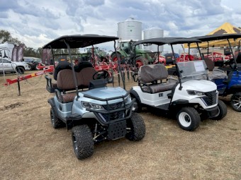 Off Road Buggy - Electric 