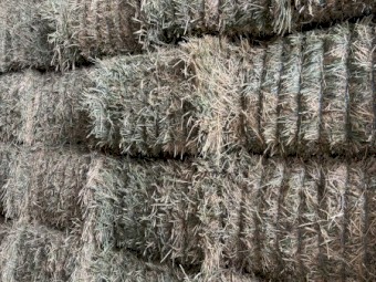 84mt Wheaten Hay 680kg 8x4x3 Bales