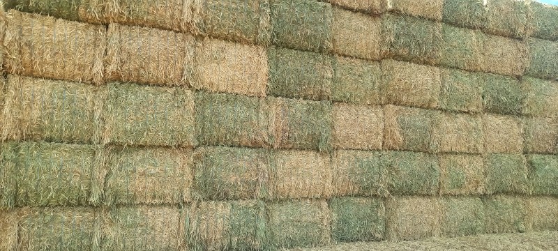 60mt Wheaten Hay 700kg 8x4x3 Bales