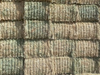 60mt Wheaten Hay 700kg 8x4x3 Bales