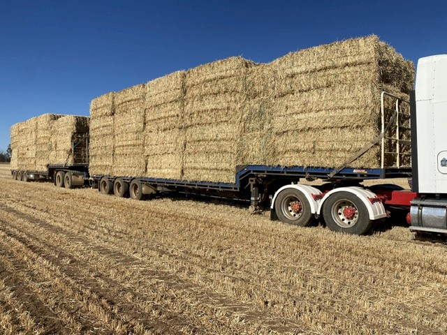 200mt Oaten Hay 8x4x3 Bales