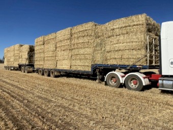 200mt Oaten Hay 8x4x3 Bales