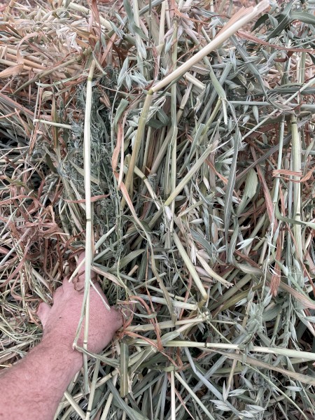 Oat and vetch mix Hay