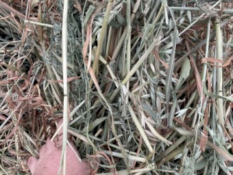 Oat and vetch mix Hay