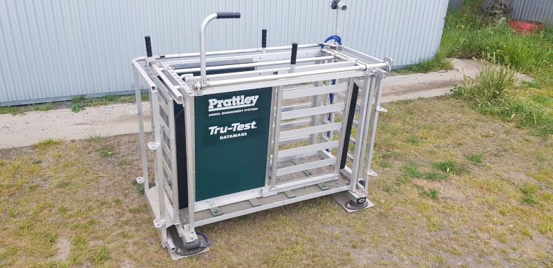 Prattley 3-Way Manual Crate  with Tru-Test S3 Weigh Scale Indicator