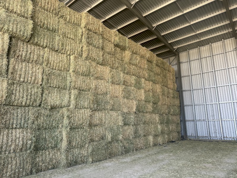 380mt Wheaten Hay 8x4x3 Bales