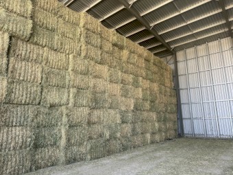 380mt Wheaten Hay 8x4x3 Bales