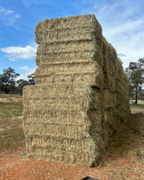 500mt Wheaten Hay 600kg 8x4x3 Bales