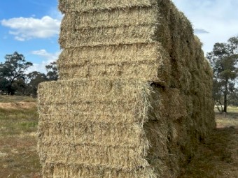 500mt Wheaten Hay 600kg 8x4x3 Bales