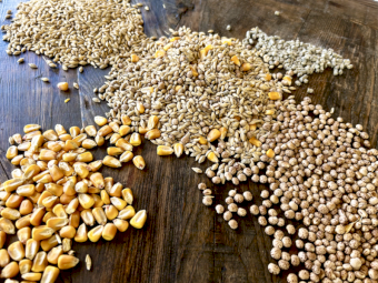 || Lamb Feedlot Grain Mix ||