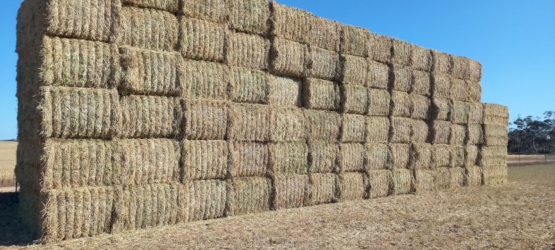 54mt  Barley Hay  650kg 8x4x3 Bales