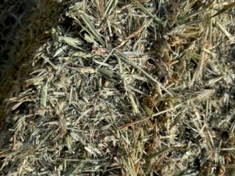 1100mt Wheaten Hay 650kg 8x4x3 Bales