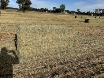1100mt Wheaten Hay 650kg 8x4x3 Bales