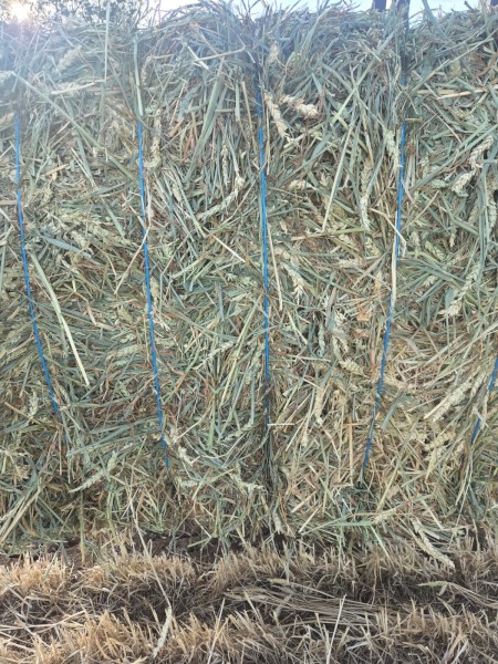 70mt Beardless Wheaten Hay 8x4x3 Bales