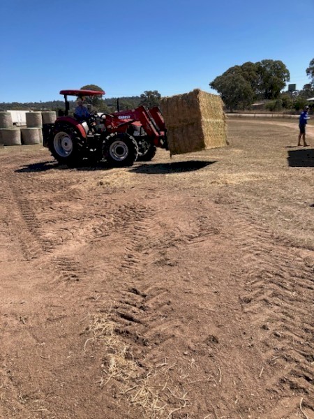 8*4*3 Quality Oaten Hay sold by the tonne