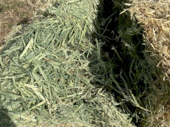 270mt Oaten Hay 8x4x3 Bales