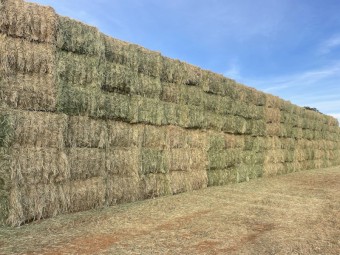 270mt Oaten Hay 8x4x3 Bales