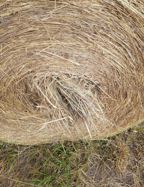 60 x Pasture Hay 5x4 Round Bales