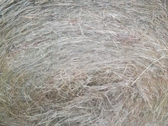 60 x Pasture Hay 5x4 Round Bales