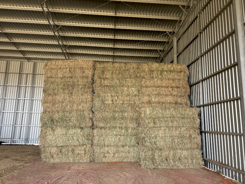 600mt Clover / Ryegrass Hay 600kg 8x4x3 Bales