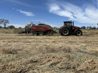600mt Clover / Ryegrass Hay 600kg 8x4x3 Bales