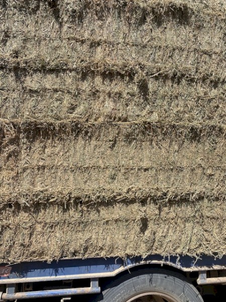  Lucerne Hay 8x4x3 Bales
