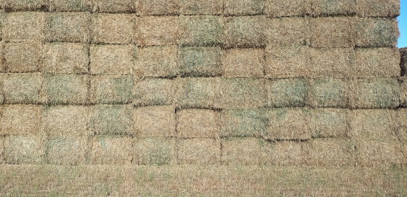 110mt Wheaten Hay 700kg 8x4x3 Bales