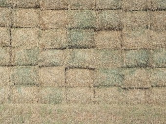 110mt Wheaten Hay 700kg 8x4x3 Bales