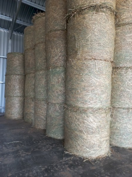 300 x Oaten Hay 4x4 Round Bales