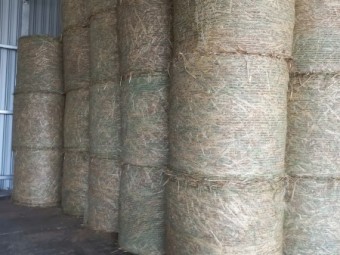 300 x Oaten Hay 4x4 Round Bales