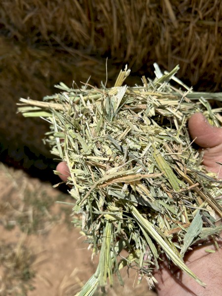  Wheaten Hay 700kg 8x4x3 Bales