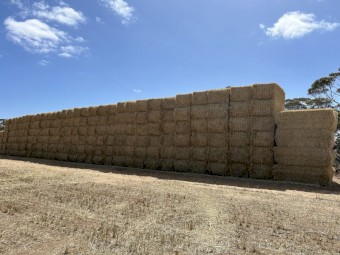  Wheaten Hay 700kg 8x4x3 Bales