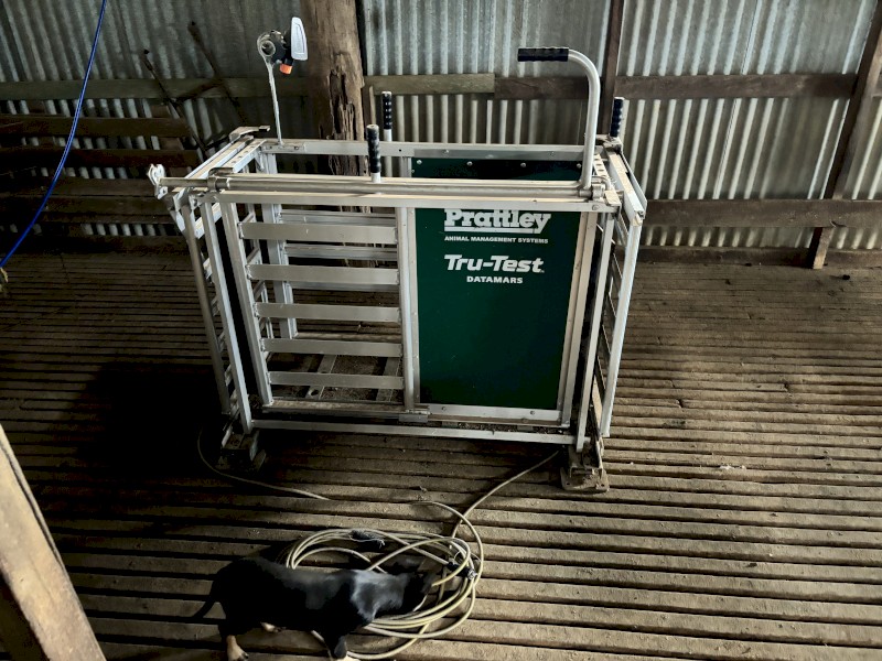Prattley 3way draft with Gallagher load bars