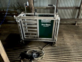 Prattley 3way draft with Gallagher load bars