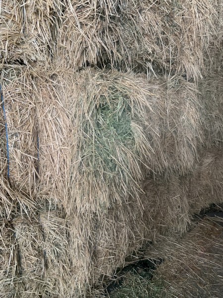 115mt Lucerne/Rye Hay 700kg 8x4x3 Bales