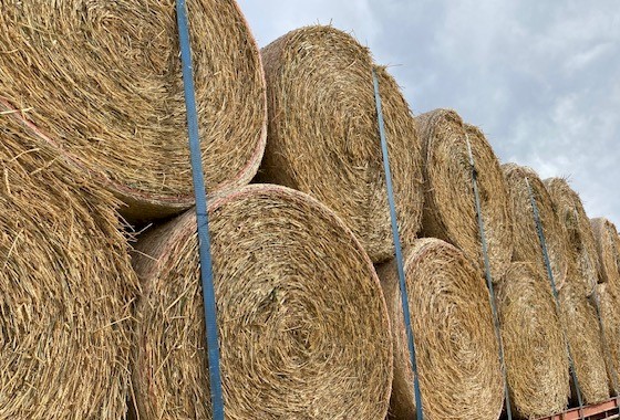 Rye/Wheaten Hay 5x4 Rolls