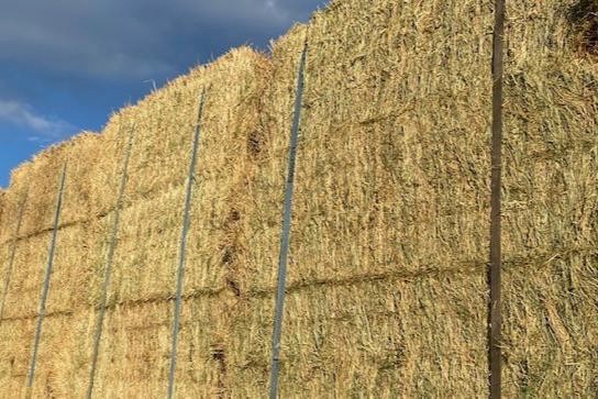 Wheaten Hay 610kg 8x4x3 Bales
