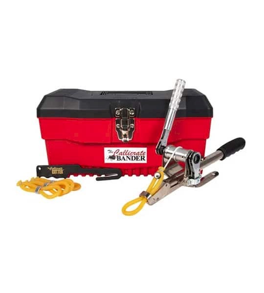 WANTED - Callicrate bander or Equivalent