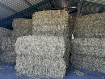 180 x Oaten Hay 8x4x3 Bales