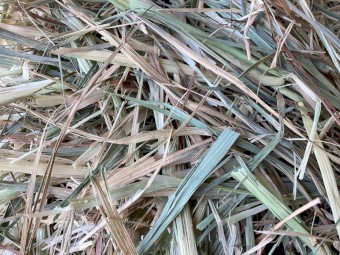 Oaten Hay Small Square