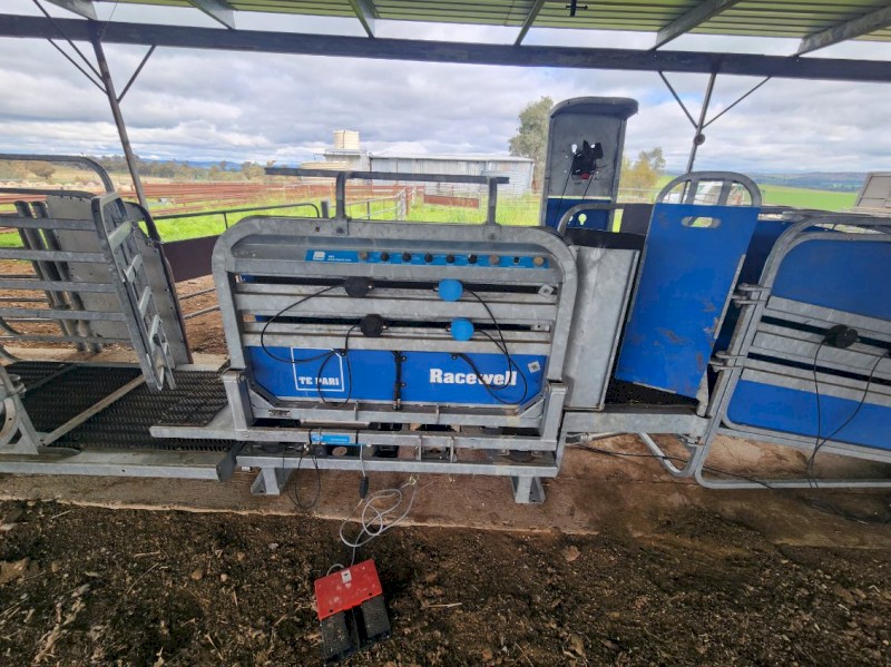 2021 Racewell HD4 handler 