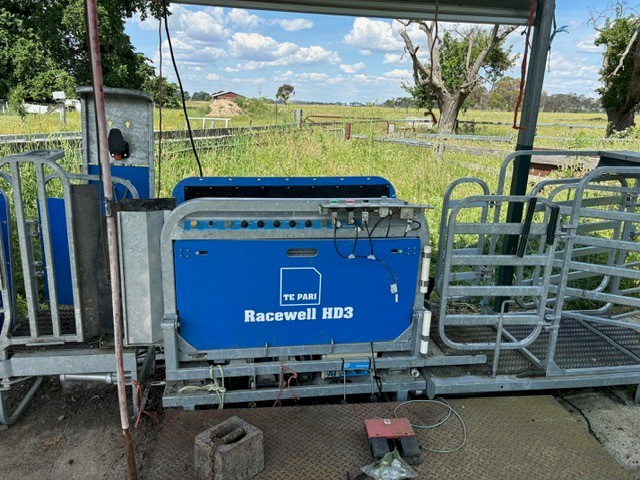 Te Pari Racewell (HD3) 3 way draft Sheep Handler