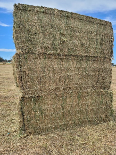 Mixed Clover Hay 629kg 8x4x3 Bales (New Season 24/25)