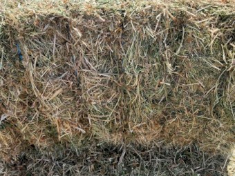 Mixed Clover Hay 629kg 8x4x3 Bales (New Season 24/25)